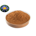 Top Quality Wholesale Blue Lotus Flower Extract Powder